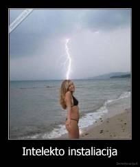 Intelekto instaliacija - 