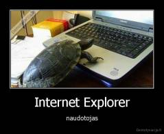 Internet Explorer - naudotojas