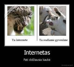 Internetas - Pati didžiausia kaukė