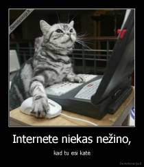Internete niekas nežino, - kad tu esi katė