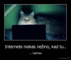 Internete niekas nežino, kad tu.. - ... katinas