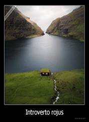 Introverto rojus - 