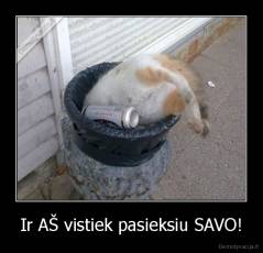 Ir AŠ vistiek pasieksiu SAVO! - 