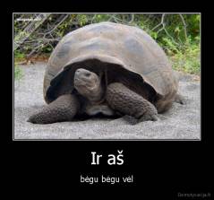 Ir aš - bėgu bėgu vėl