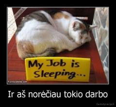 Ir aš norėčiau tokio darbo - 