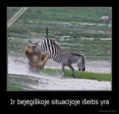 Ir bejėgiškoje situacijoje išeitis yra - 