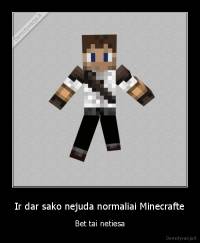Ir dar sako nejuda normaliai Minecrafte - Bet tai netiesa