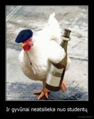 Ir gyvūnai neatsilieka nuo studentų - 