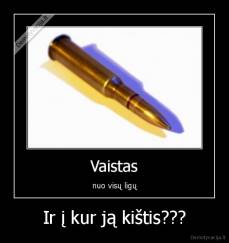 Ir į kur ją kištis??? - 