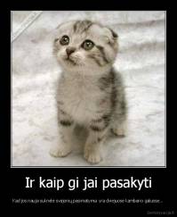 Ir kaip gi jai pasakyti - Kad jos nauja suknelė svajonių pasimatymui yra dviejuose kambario galuose...