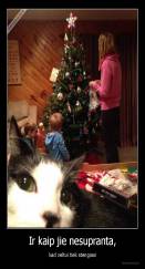 Ir kaip jie nesupranta, - kad veltui tiek stengiasi