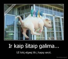 Ir kaip šitaip galima... - Už tokį elgesį tik į kapą varyt.