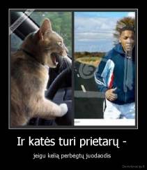 Ir katės turi prietarų -  - jeigu kelią perbėgtų juodaodis 