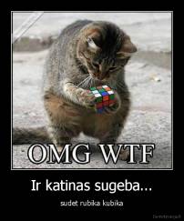 Ir katinas sugeba... - sudet rubika kubika