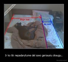 Ir ko tik nepadarytume del savo geriausiu draugu.. - 