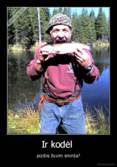 Ir kodėl  - pizdos žuvim smirda?