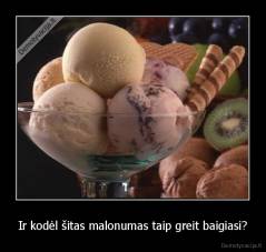 Ir kodėl šitas malonumas taip greit baigiasi? - 