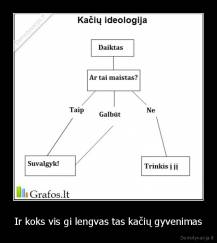 Ir koks vis gi lengvas tas kačių gyvenimas - 