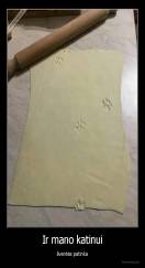 Ir mano katinui - šventės patinka