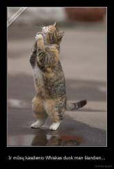 Ir mūsų kasdienio Whiskas duok man šiandien... - 