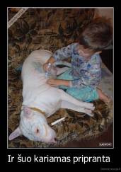 Ir šuo kariamas pripranta  - 