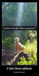 Ir tada Dievas paklausė: - Kas geras berniukas? 