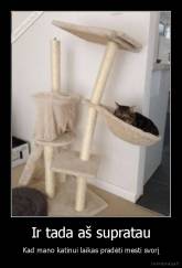 Ir tada aš supratau - Kad mano katinui laikas pradėti mesti svorį