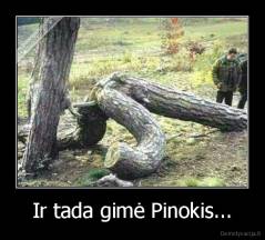 Ir tada gimė Pinokis... - 