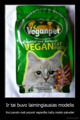 Ir tai buvo laimingiausias modelis - Kurį pavyko rasti pozuoti veganiško kačių maisto pakuotei