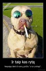 Ir taip kas rytą - Nespėjęs išeiti iš namų girdžiu "a tur pridegt".