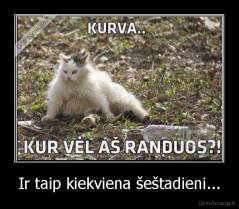 Ir taip kiekviena šeštadieni... - 