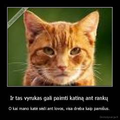 Ir tas vyrukas gali paimti katiną ant rankų  - O kai mano katė sėdi ant lovos, visa dreba kaip pamišus. 