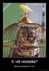 Ir vėl nesiseka? - tiesiog susitaikyk su tuo.