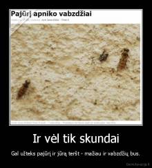 Ir vėl tik skundai - Gal užteks pajūrį ir jūrą teršt - mažiau ir vabzdžių bus.