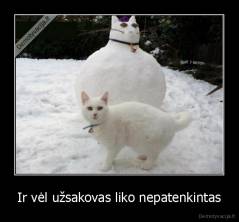 Ir vėl užsakovas liko nepatenkintas - 