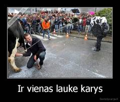 Ir vienas lauke karys - 