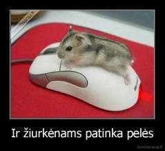 Ir žiurkėnams patinka pelės - 