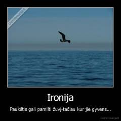 Ironija - Paukštis gali pamilti žuvį-tačiau kur jie gyvens...