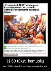 Iš 60 tūkst. kamuolių - bent 30 tūkst. jų gulėjo ant žemės, suspausti tarp kojų