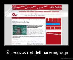 Iš Lietuvos net delfinai emigruoja - 