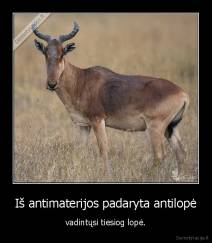 Iš antimaterijos padaryta antilopė - vadintųsi tiesiog lopė.
