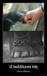 Iš beždžionės kilę - Dievus vaidinam