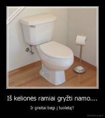 Iš kelionės ramiai gryžti namo.... - Ir greitai bėgi į tuoletą!!