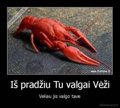 Iš pradžiu Tu valgai Vėži - Veliau jis valgo tave