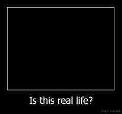 Is this real life? - 