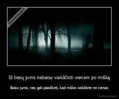 Iš tiesų jums nebaisu vaikščioti vienam po mišką - Baisu jums, nes gali paaiškėti, kad miške vaikštote ne vienas