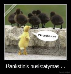 Išankstinis nusistatymas . . - 