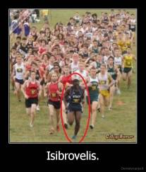 Isibrovelis. - 