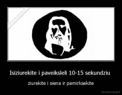 Isiziurekite i paveiksleli 10-15 sekundziu  - ziurekite i siena ir pamirksekite