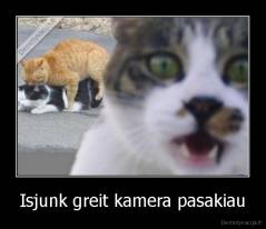 Isjunk greit kamera pasakiau - 